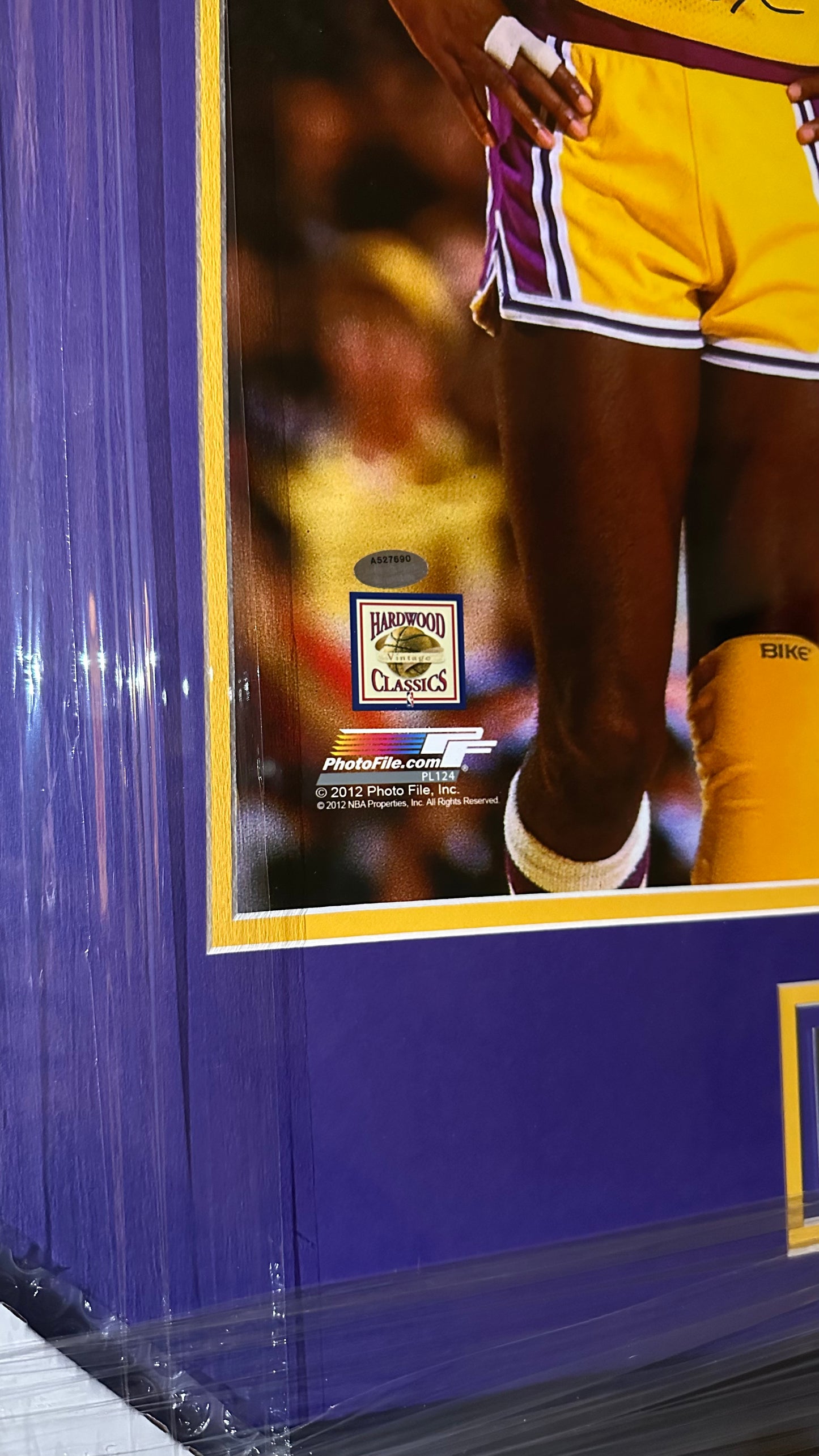James Worthy & Magic Johnson Dual Signed Lakers Framed Photograph Authenticated by Shorts